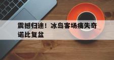 华体会国米赞助商-震撼归途！冰岛客场痛失奇诺比复盆