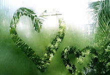 华体会皇马赞助商-西决生死战焦点战，中国一波带走牙买加，篮球场上的东方风暴