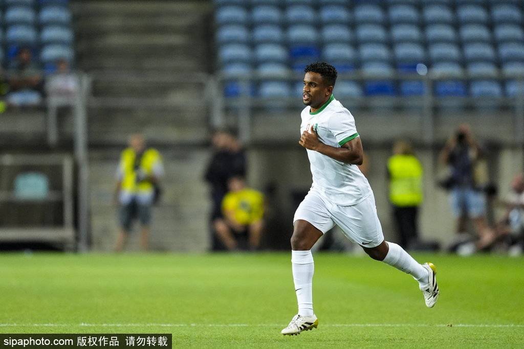 阿尔梅里亚球员受伤，球队实力大损的简单介绍