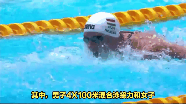 中国选手创造新纪录夺得游泳金牌