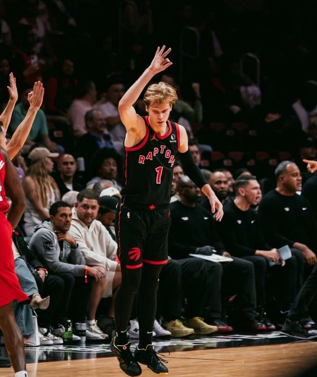 猛龙不敌公牛，遭遇失利