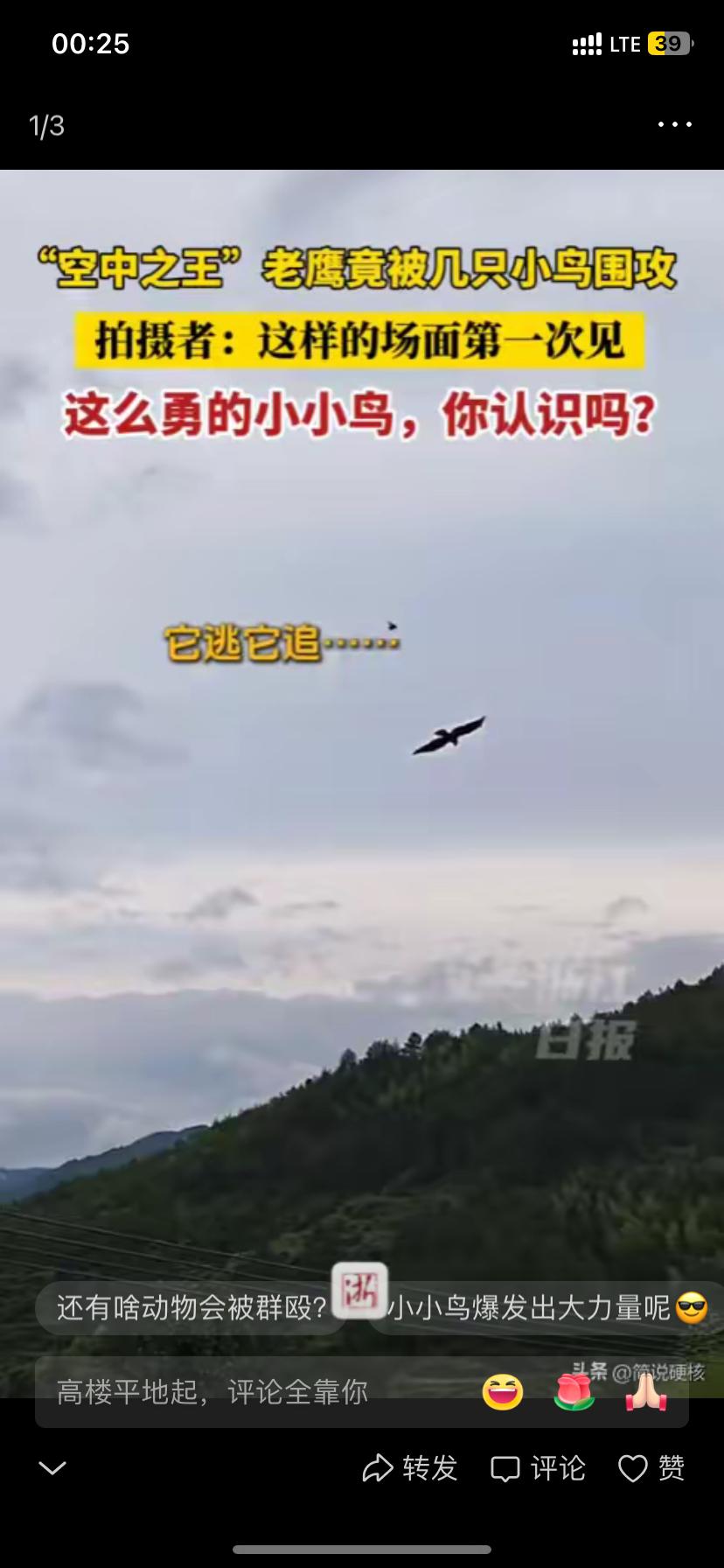 老鹰大胜老鹰，终结两连败的简单介绍